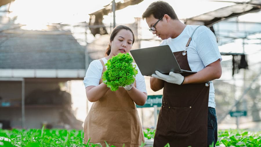 How Indonesian MSMEs Can Scale Shopee Sales with Digital Strategy and AI